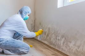 Why You Should Choose Our Mold Remediation Services in Bellflower, CA